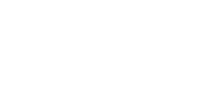 Brunel Energy LLC