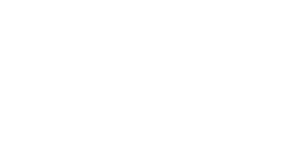 Gulf Agency Co Dubai LLC