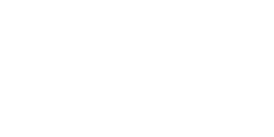 Ingram Micro