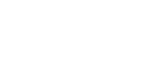 Intellect Design Arena FZ LLC