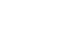 Park Regis By Prince Hotel LLC